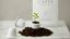 Kaffe